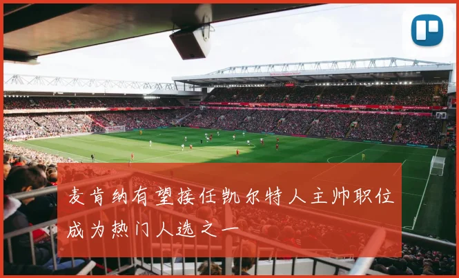 麦肯纳有望接任凯尔特人主帅职位成为热门人选之一