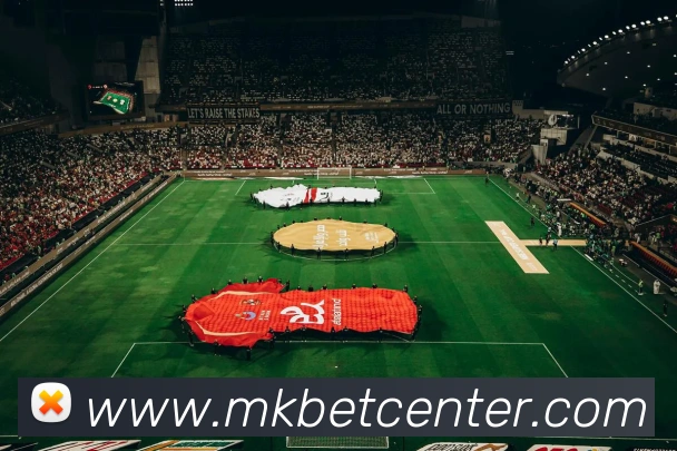 多媒体互动体验